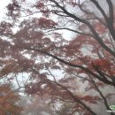 몽계폭포 백양사코스 이미지