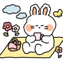 엔젤꾸꾸