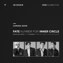 더 위너 팀