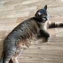 소요산웰빙국수 이미지