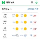 6.9 자라섬../소풍날의 행운아!! 이미지