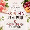 베리굿농원 - 고령군 반룡사길 68 | 베리굿농원