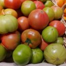 대저농협하나로마트 이미지