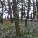 송림수산 이미지