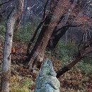 백곡 Daum카페