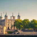 자전거나라 이미지