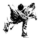 백인 합기도 이미지