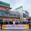 충북인삼