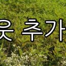 비취보석대중탕 이미지