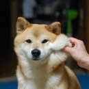 비밀의화원광주점