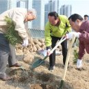 희망나무심기3 이미지