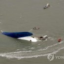 이와같이 이미지