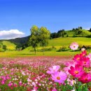 농소1동 행정복지센터 이미지