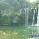 천지연폭포 이미지