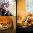 주연헤어 이미지