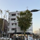 강동초장 | 상일동역 대방어 맛집 - 세민수산 고덕점 리얼후기! 강동구 횟집 추천