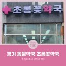 초롱꽃약국 네이버블로그