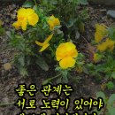 거북당구장 Daum카페