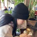 쵸쵸 이미지