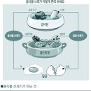 수질 및 페기물처리 사례연구(개인별 보고서) 이미지