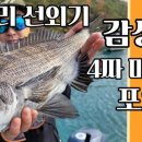 곤리레져