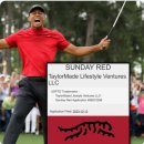 라운드3 | 2025 제네시스 챔피언십 3라운드 관람 후기