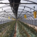 주덕읍사무소 이미지