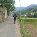 일송목장 이미지