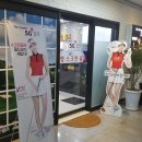 태영스크린 이미지
