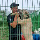 아이리쉬PC 이미지