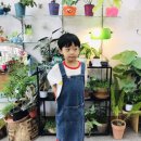 풀롶 이미지
