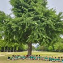 뮤지컬 ‘알사탕🍬‘과 서울숲 나들이🌈 이미지