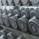 고구마 휘트니스 이미지