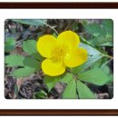 매산농장 이미지