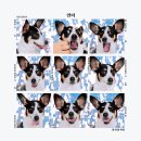 항상봄처럼 스튜디오 이미지