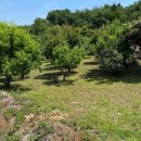 노을부동산중개 이미지