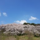 익산시북부청사 이미지