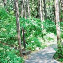 2014년 7월 26일 (토) 청계산 맑은 숲공원 트레킹 이미지