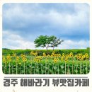 보불로(동) 이미지