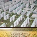 해바라기가 있는 풍 이미지