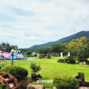 호산나주유소 이미지