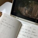 위드미 봉천태양점 | [🌱제주] 첫 나홀로 제주여행(7/4-7)