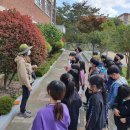 신덕초등학교 10월12일(수) 22명 이미지