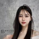 브로시스