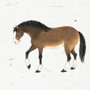 산기슭목장 | 세종대왕의 말 ‘오명마’, 인천 섬에 남은 흔적을 따라가다