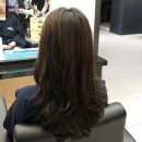 뿌리목장 | 명동 미용실 이철헤어커커 명동2호점 에이미 수석실장 레이어드 C컬펌 뿌리펌 후기