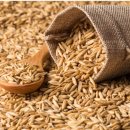 워너짐 장전 이미지