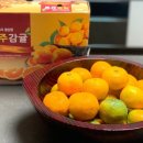 주니청과 이미지