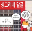 🎄우당탕탕 싱그리네 2882 🎄 이미지
