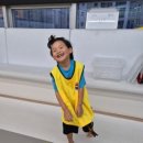 위즈캐슬 이미지